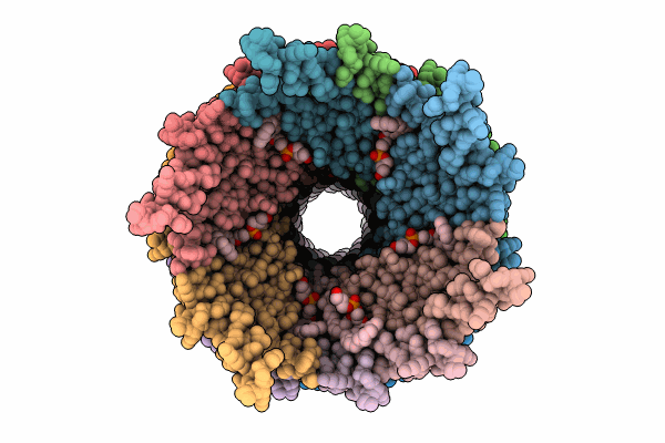 8S6H image
