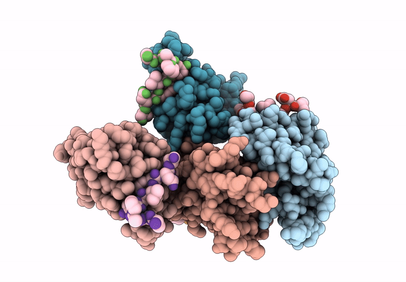 8S6N image