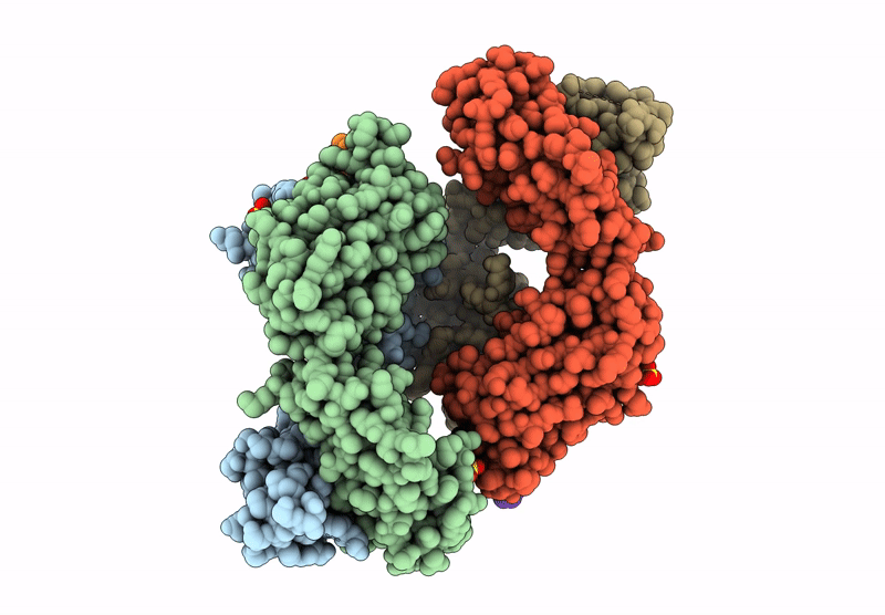 8S6V image