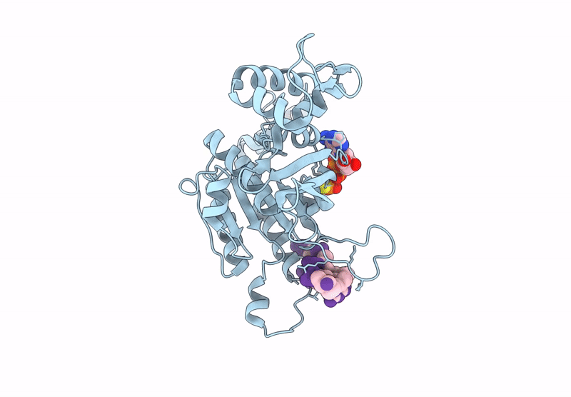 8S70 image