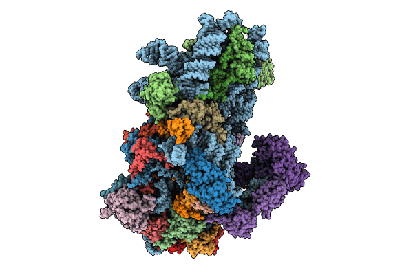 8S8H image