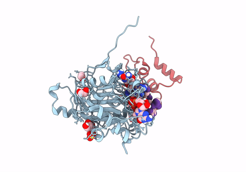 8S8W image