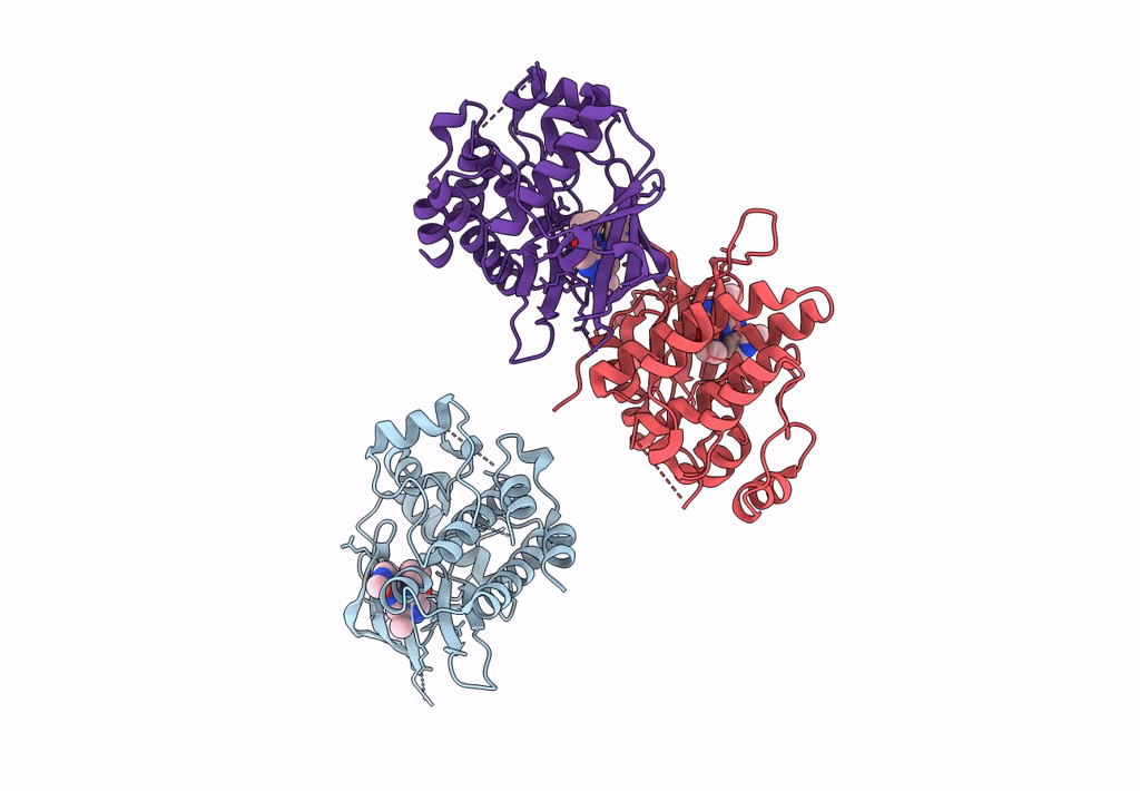 8S98 image