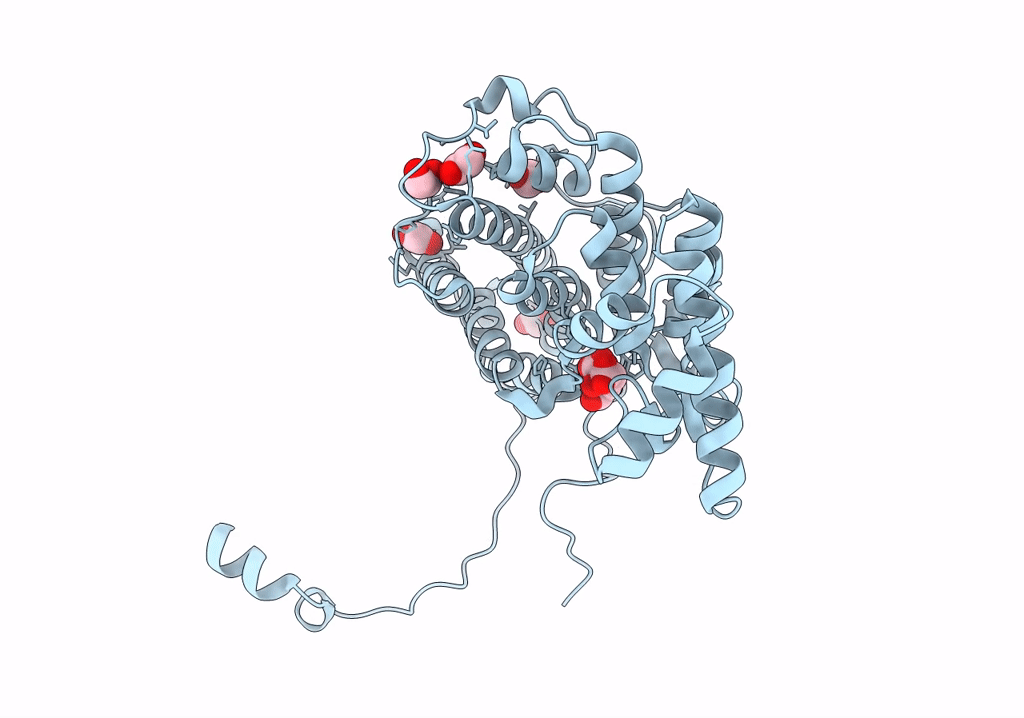 8S9D image