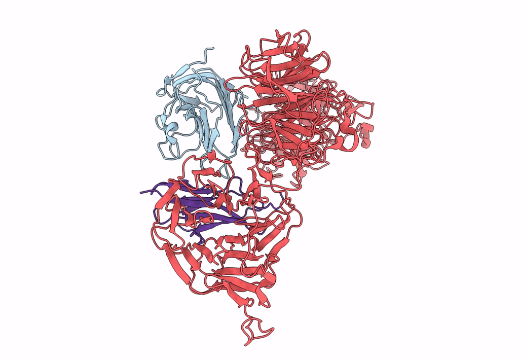 8S9P image