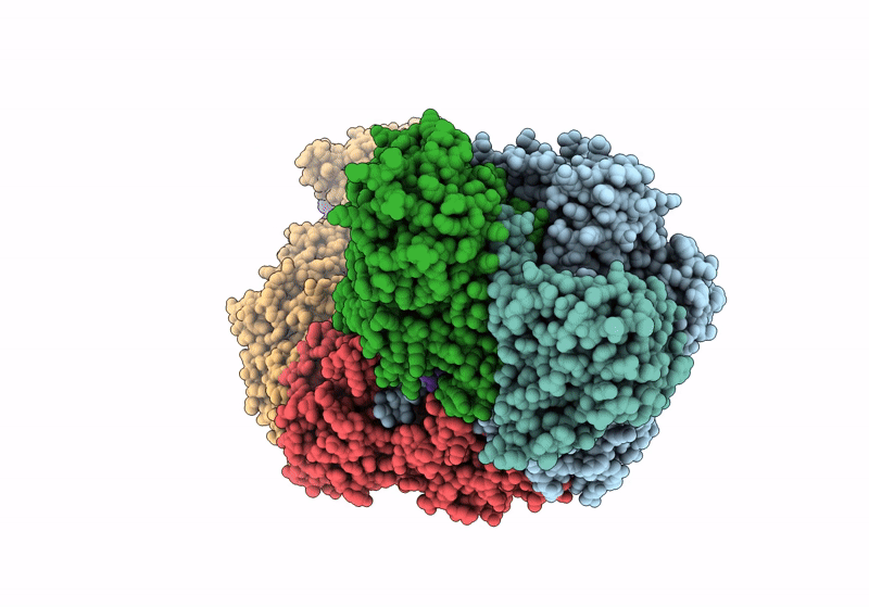 8S9V image