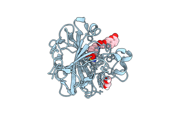 8SAG image