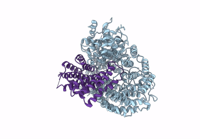 8SAH image