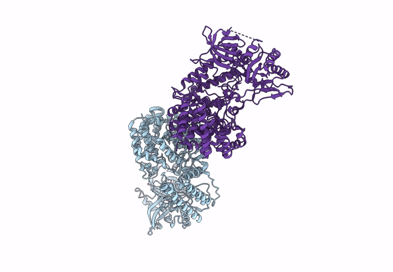 8SAP image