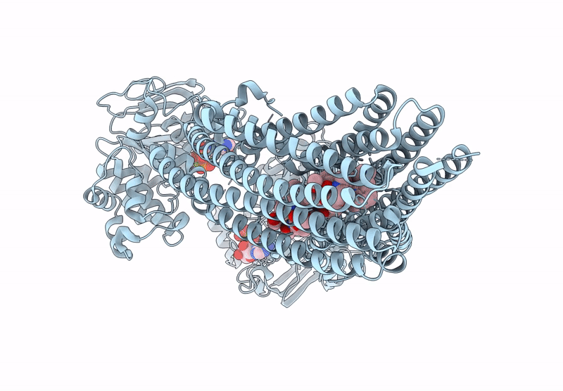 8SBA image
