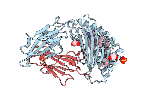 8SBK image