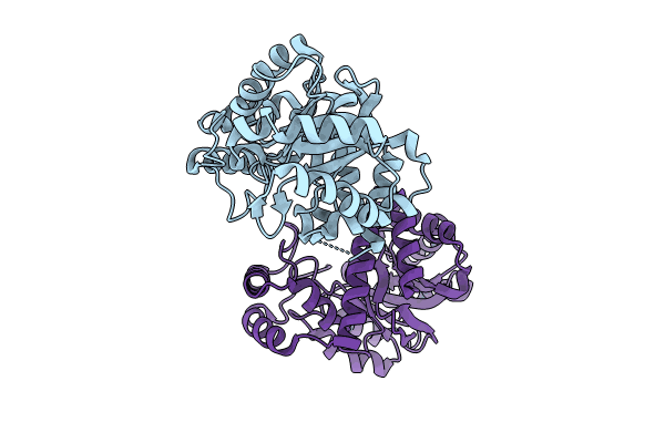 8SCC image