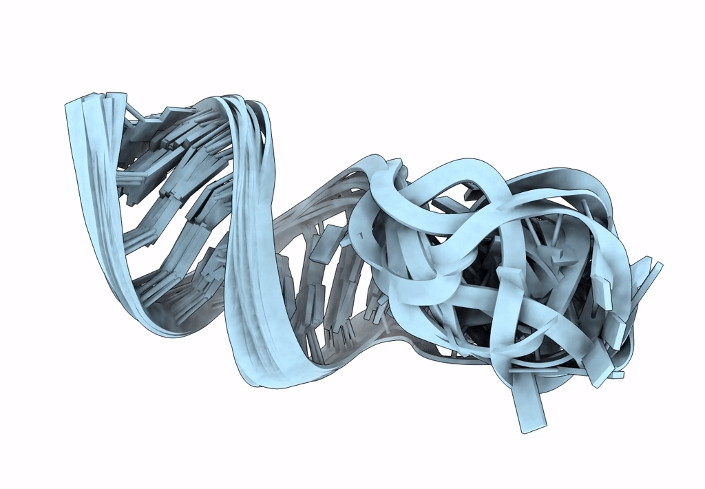 8SCF image