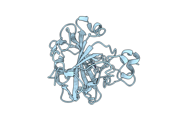 8SD8 image
