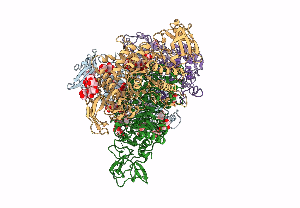 8SDB image