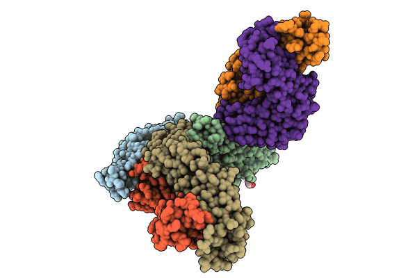 8SDH image