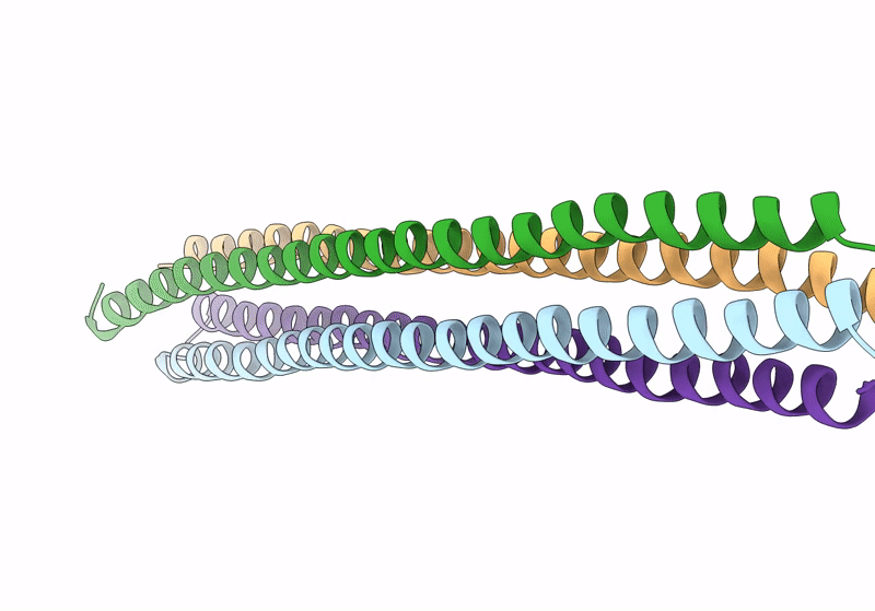 8SDI image
