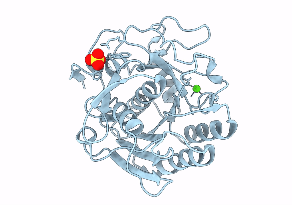 8SDK image