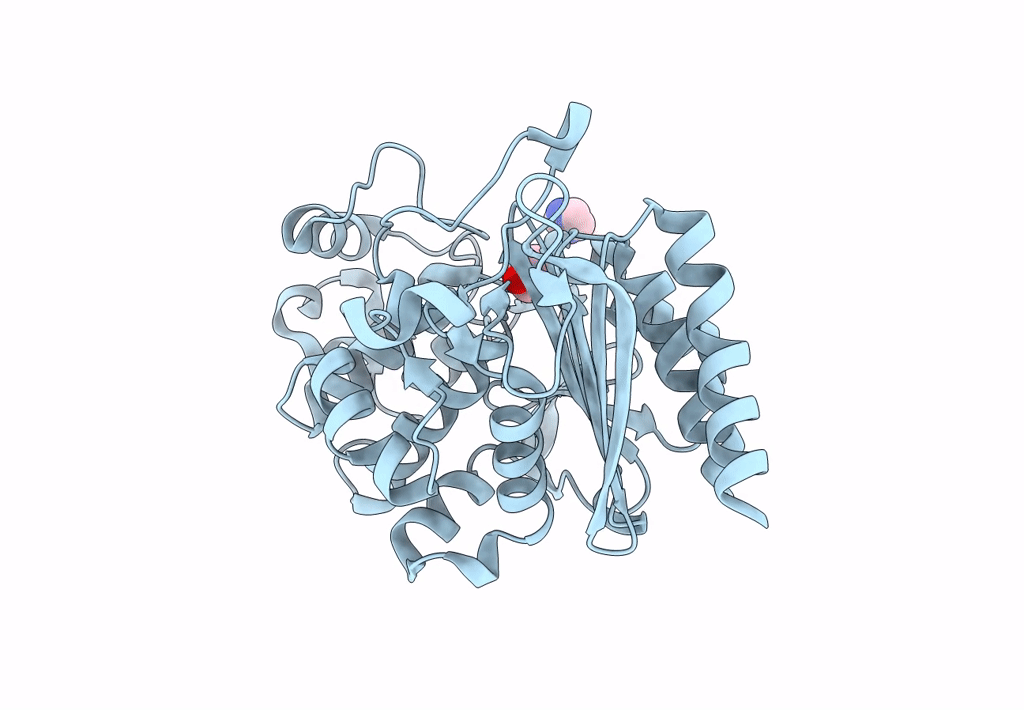 8SDL image