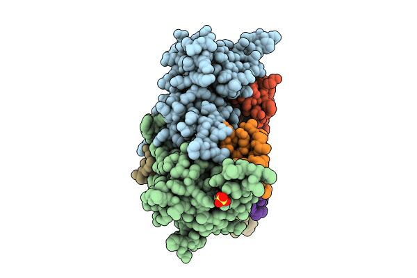 8SDP image