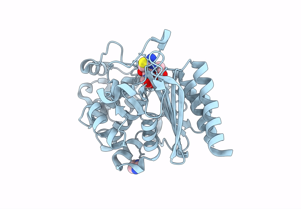 8SDS image