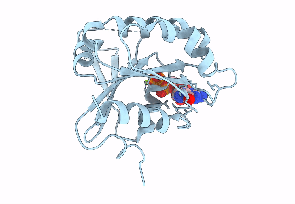 8SDW image