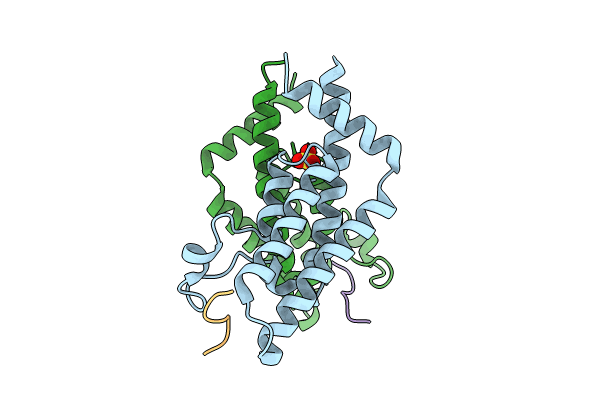 8SDX image