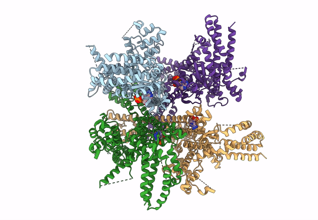 8SEW image