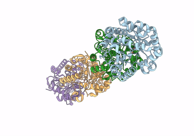 8SFA image