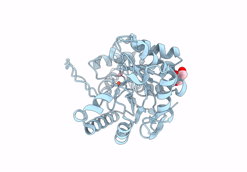 8SFK image