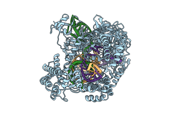 8SFN image