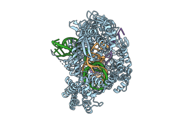 8SFP image