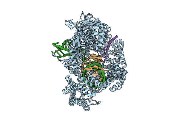 8SFR image