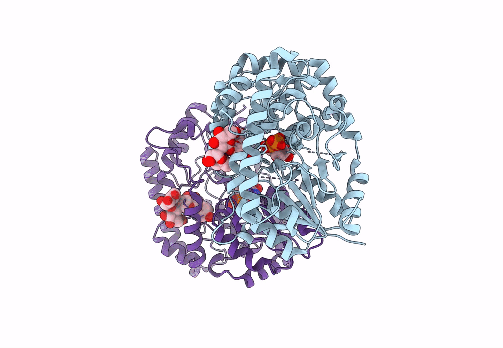 8SFU image