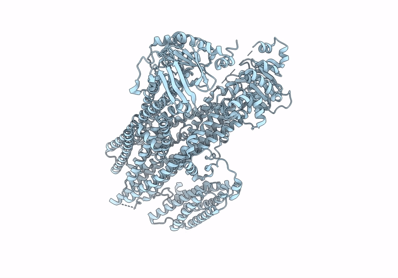 8SG4 image