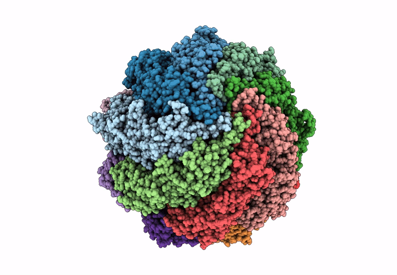 8SGL image