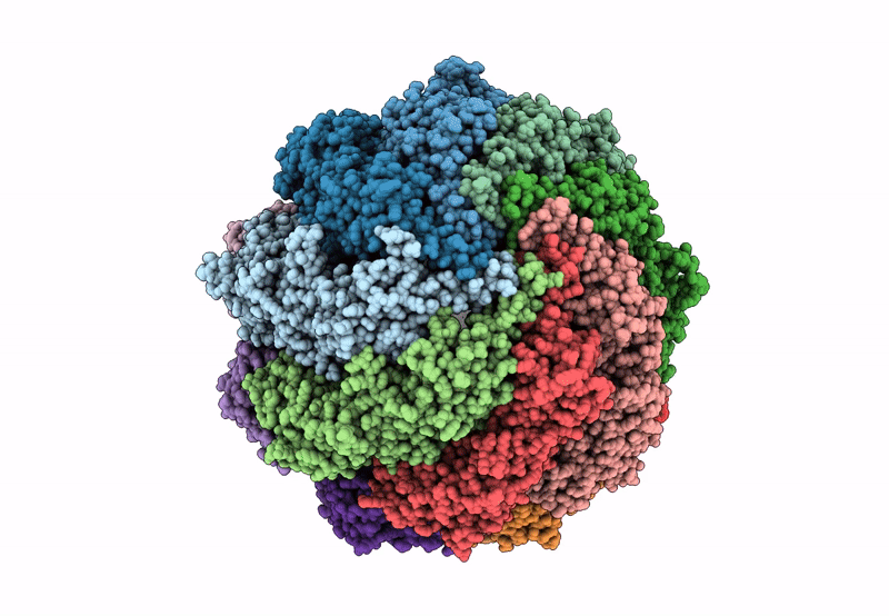 8SHN image