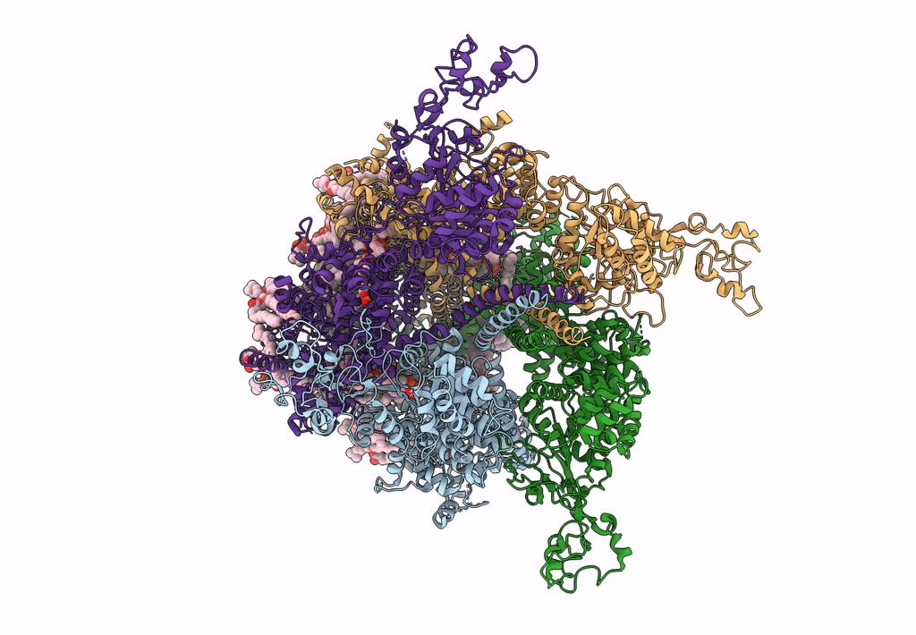 8SI3 image