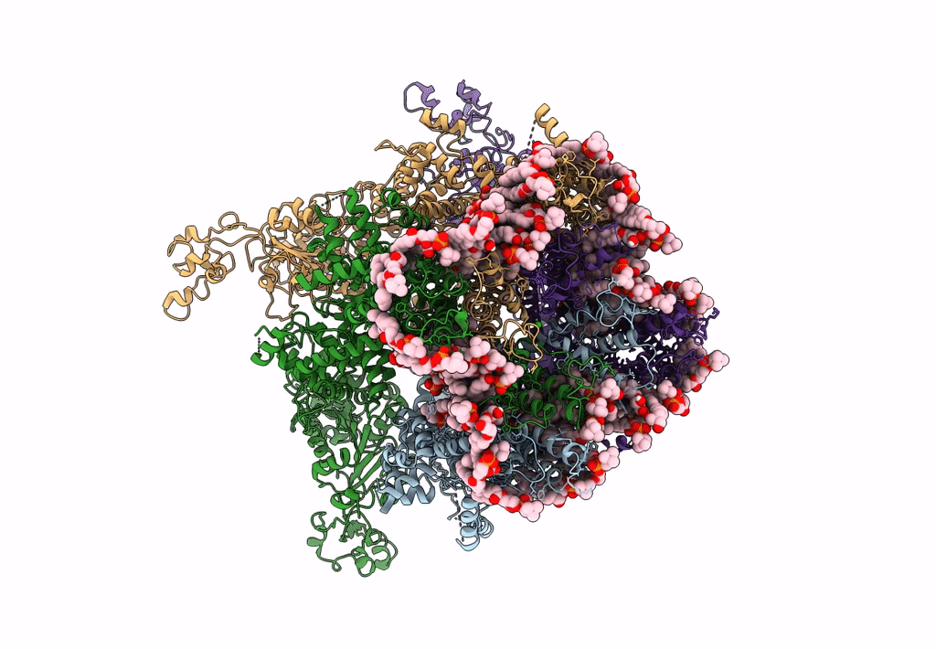 8SI4 image