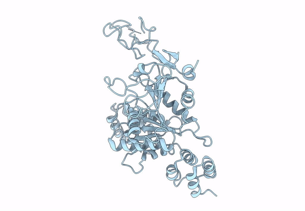 8SIB image