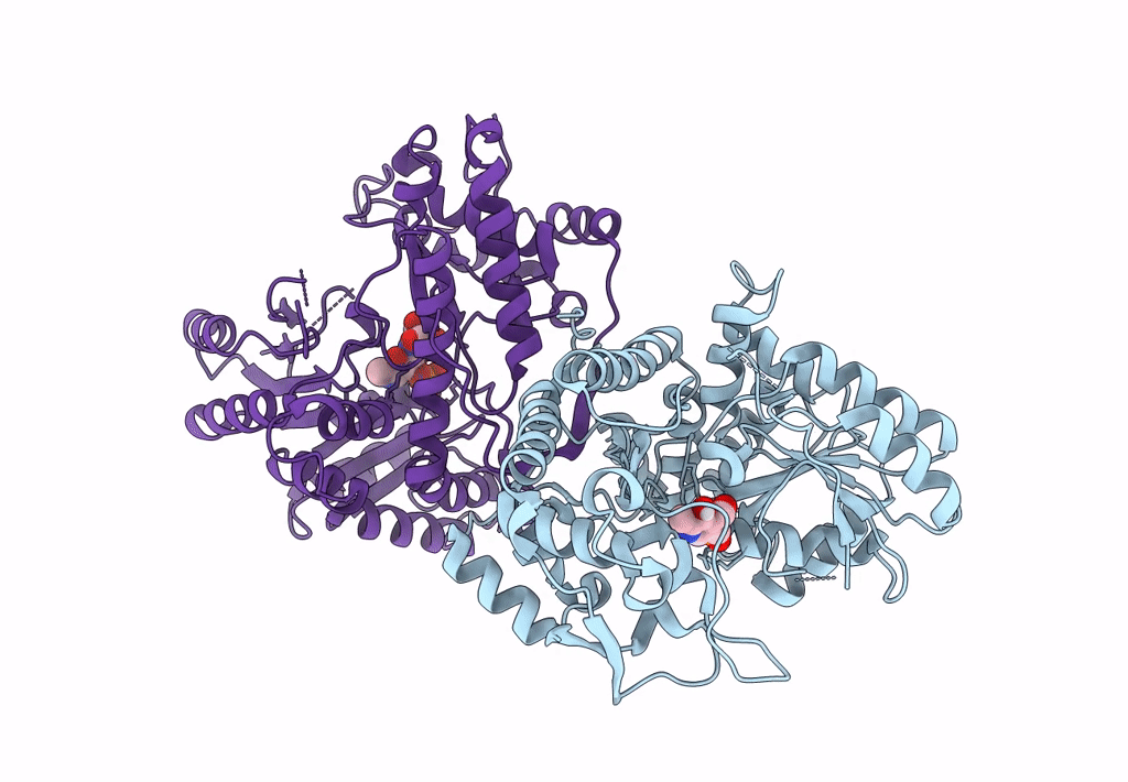 8SIJ image