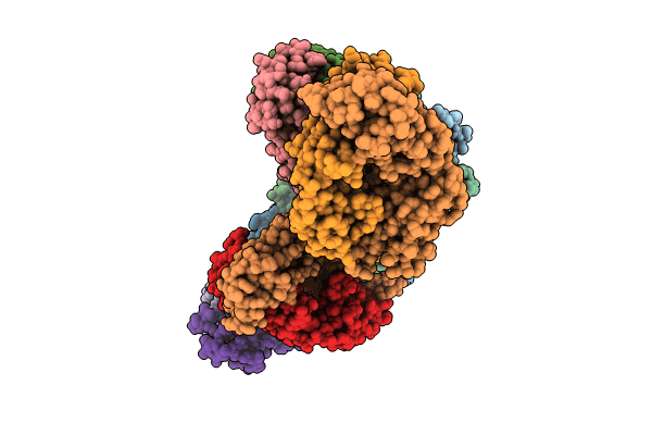 8SIT image