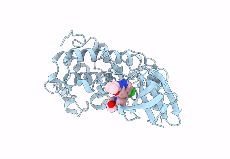 8SIV image