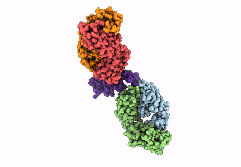 8SJ6 image