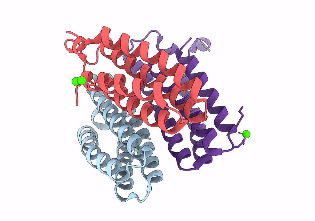 8SJI image