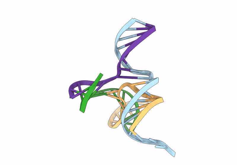 8SJN image