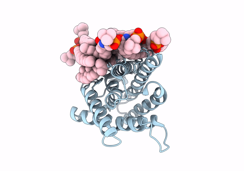 8SJX image