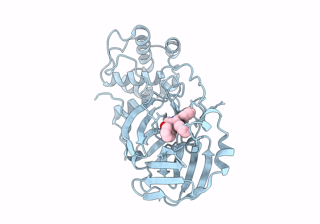 8SKH image