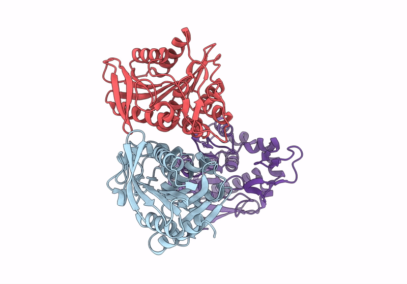 8SKM image