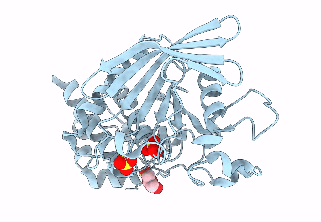 8SLS image